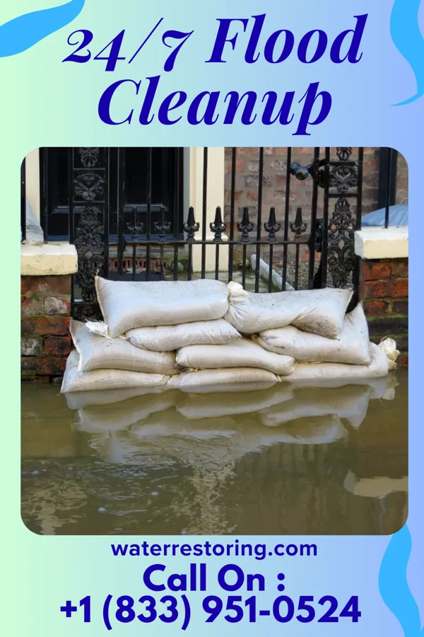 24/7 Flood Cleanup in Victory Gardens, NJ