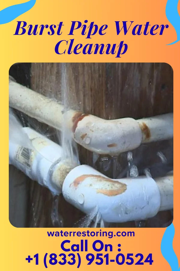 Burst Pipe Water Cleanup in Victory Gardens, NJ