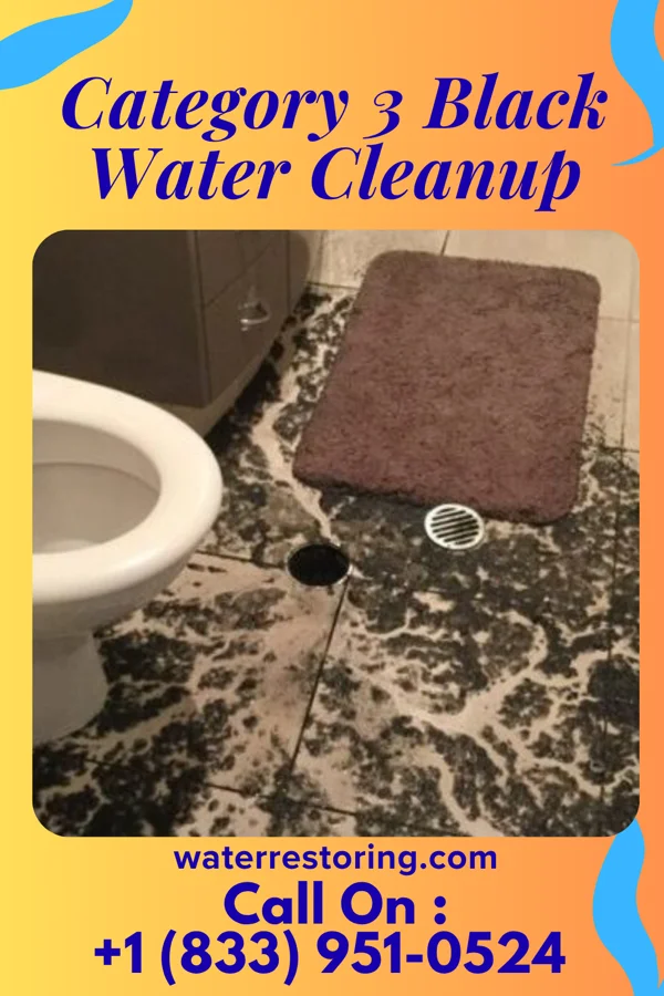 Category 3 Black Water Cleanup in Victory Gardens, NJ