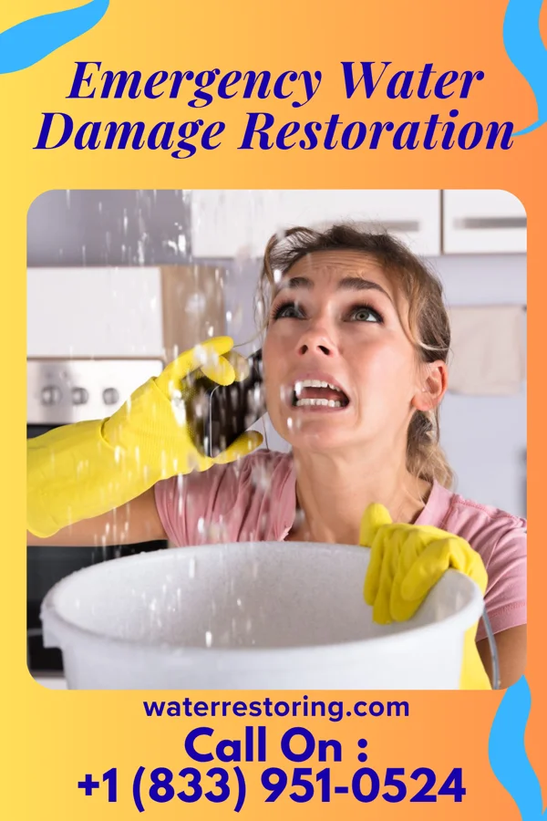 Emergency Water Damage Restoration in Victory Gardens, NJ