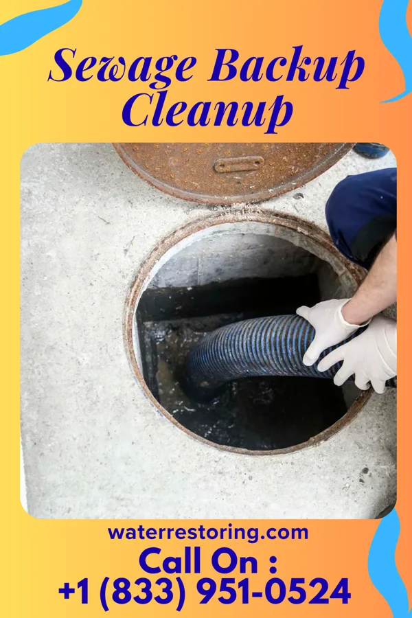 Sewage Backup Cleanup in Victory Gardens, NJ