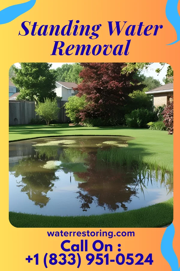 Standing Water Removal in Victory Gardens, NJ